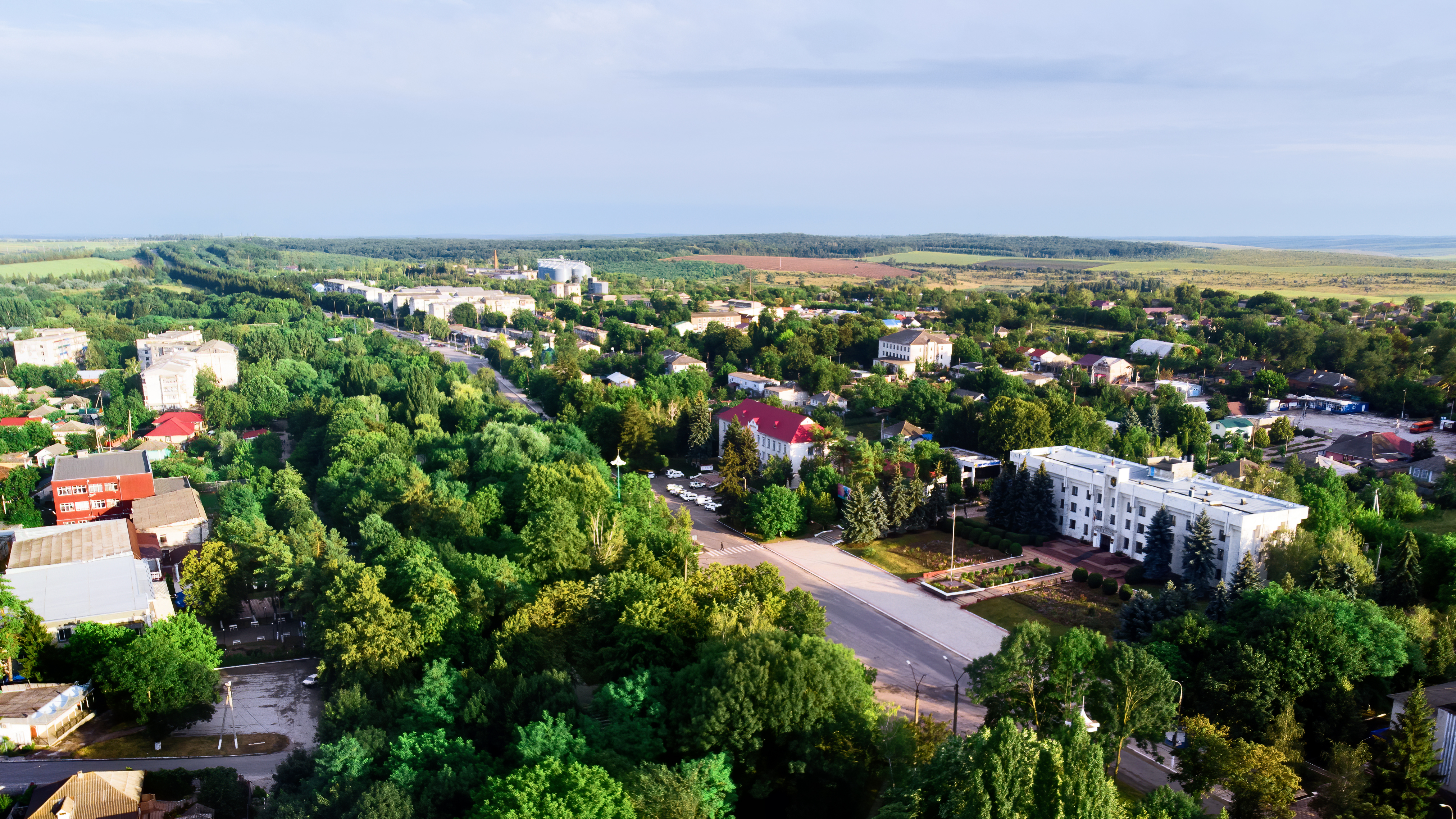 Real Estate Investment Opportunities